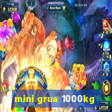 mini grua 1000kg